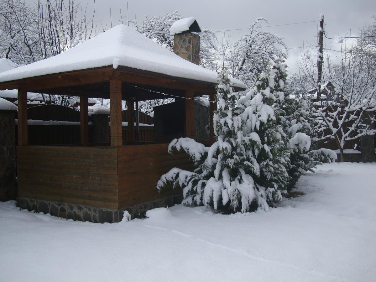 Котедж Гірський Yaremche Ngoại thất bức ảnh